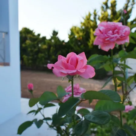 Holiday home North